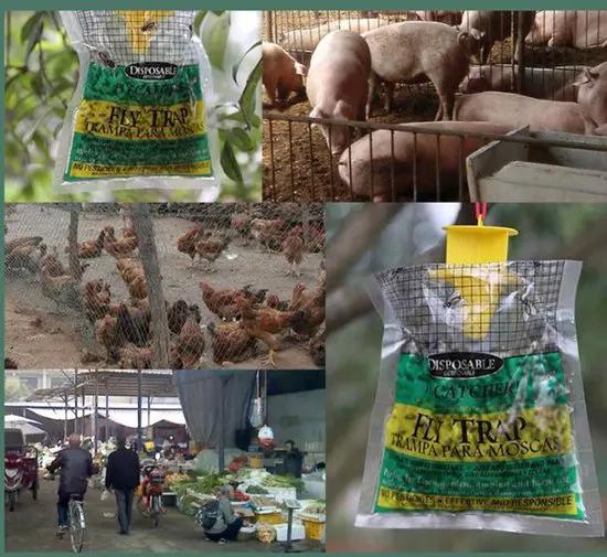 Merkloos IBBO Shop - Vliegenval XL met lokmiddel - 2 stuks - Vangt 20.000 vliegen - Vliegenzak - Vliegenvanger - Ecologisch en gifvrij - Vliegen - Muggen - Insecten - Val - Ongediertebestrijding - Plaagdierenbestrijding - Zak -