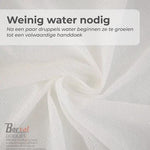 Borvat® Borvat® - Compressed Towels - Travel Towel - Handdoek - Gecomprimeerde doekjes - In Tablet vorm - Hygienische Vochtige Doekjes - Wit - 200 Stuks -