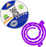 borvat IBBO® - Vlooienband kat - Verstelbaar - 8 maanden bescherming - Vlooienband - Natuurlijk - Tekenband - Anti vlooien - 38cm - Fit all sizes - Vlooienbandjes kat - Vlooien - Paars -